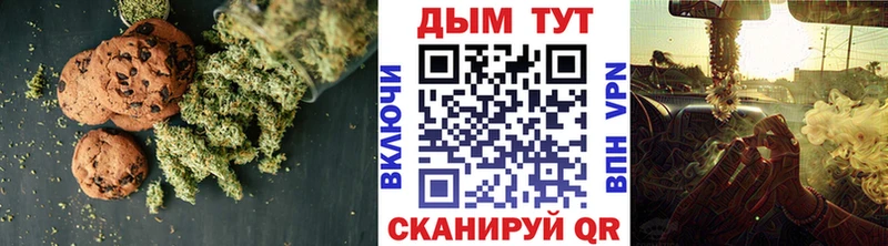 магазин продажи наркотиков  блэк спрут как войти  Cannafood конопля  Каргат 