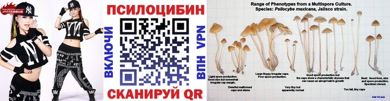 где купить наркотик  ОМГ ОМГ ССЫЛКА  Галлюциногенные грибы мицелий  Каргат 