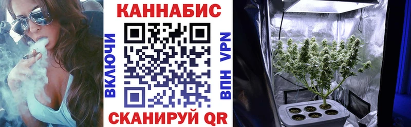 Канабис MAZAR  Каргат 
