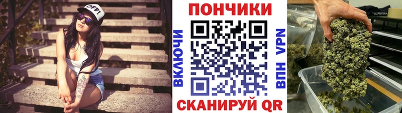 Канабис сатива Каргат